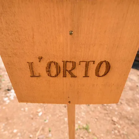 Torre De Jaco - Wellness ベッド・アンド・ブレックファスト Torraca